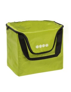 sac Modulo Anis non isotherme
