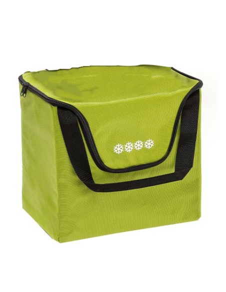 sac Modulo Anis non isotherme