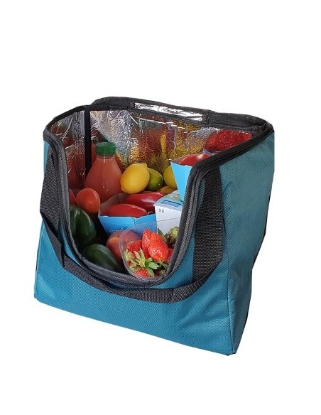 sac Modulo isotherm Vert Canard
