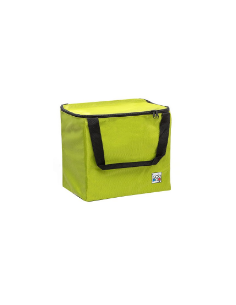 sac Modulo Anis non isotherme