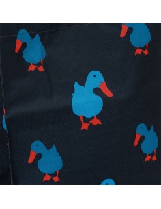 Sacs  Canards 2