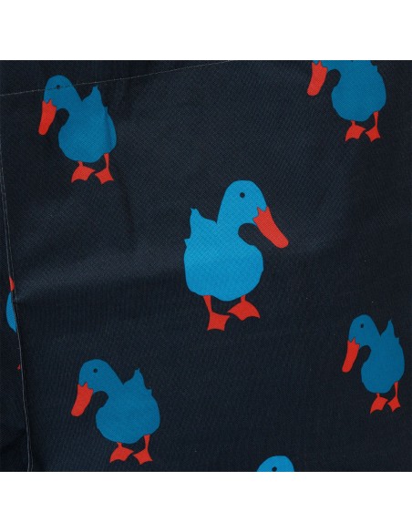 Sacs  Canards