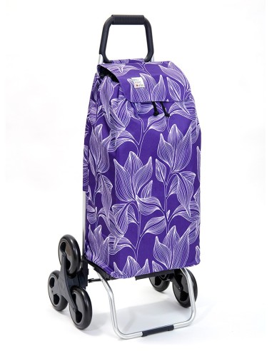 Carlux 2 roues Purpleleaves