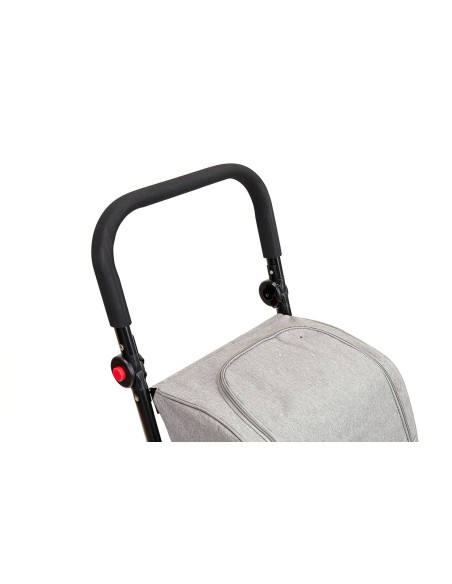 chariot de course 4 roues