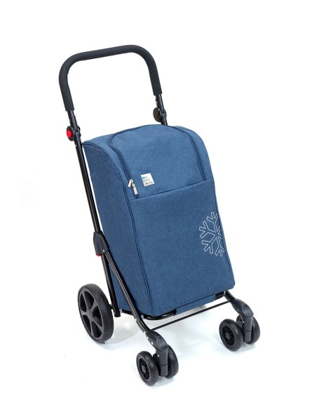 chariot de course 4 roues