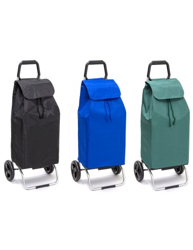 Buggy 2 roues 55 litres assortis
