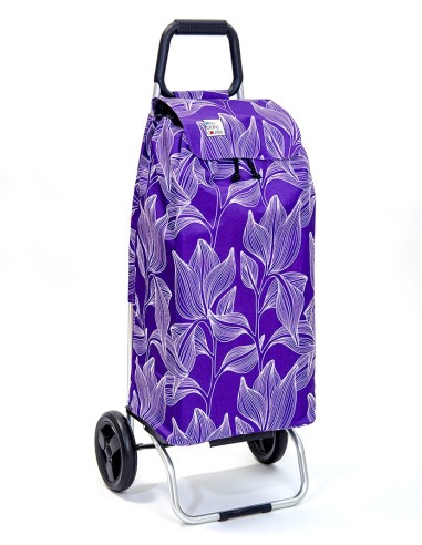 Chariots de course 2 roues français; maniables - CHARIOT DE COURSE