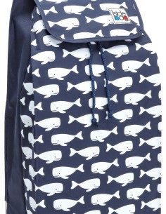 Carlux 2 roues Baleine 2