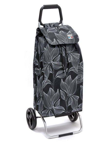 Carlux 2 roues Blackleaves