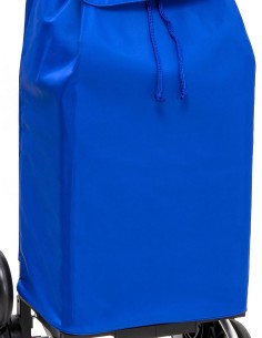 Buggy Trio ® bleu 2
